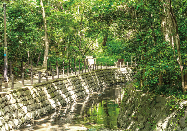 等々力渓谷公園