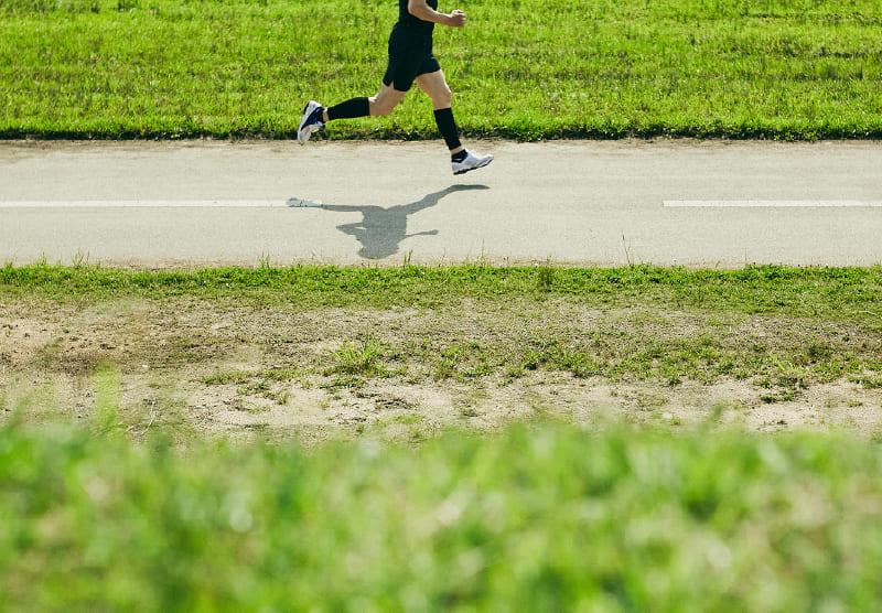 多摩川の季節を楽しみながらウォーキングやジョギングを楽しんでも。