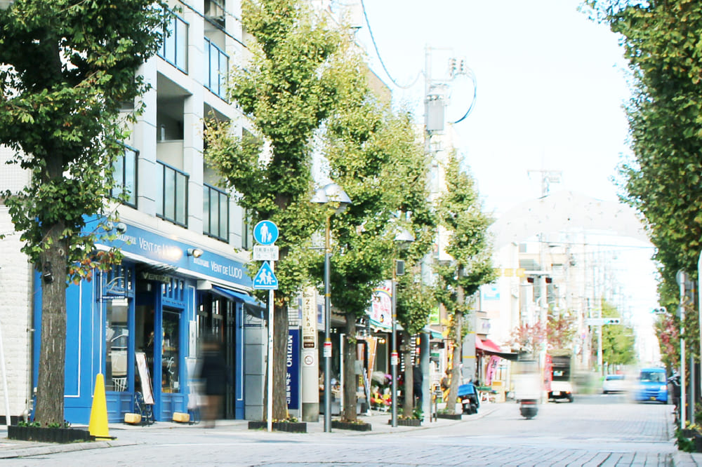 ハッピーロード尾山台商店街